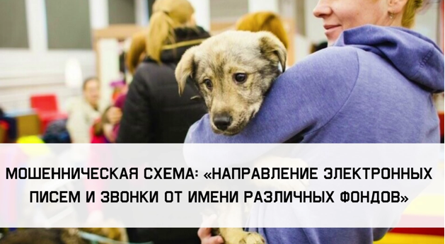 мо.png